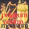 Mittelalter-Album Pulcrum contra morbium, fr Details anclicken